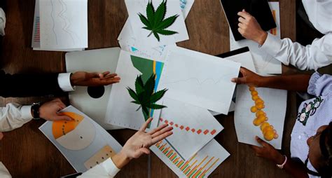 2 Marijuana Stocks To Consider For Long Term Investing 2 Marijuana Stocks To Consider For Long Term Investing