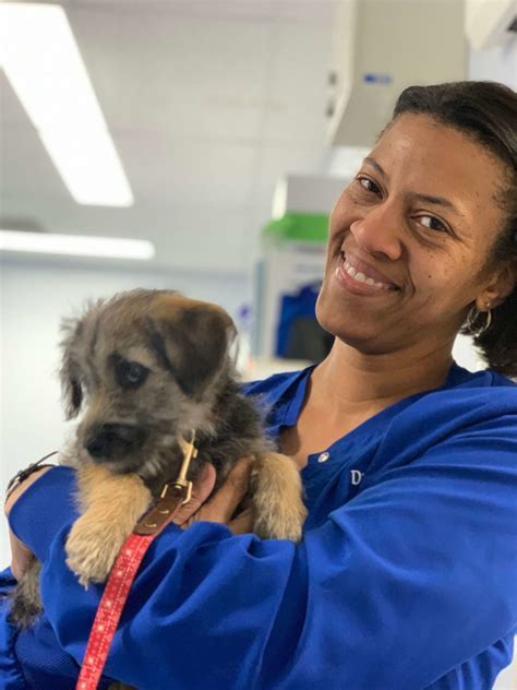 5 Tips Care Corner Animal Clinic Antech Nexus
