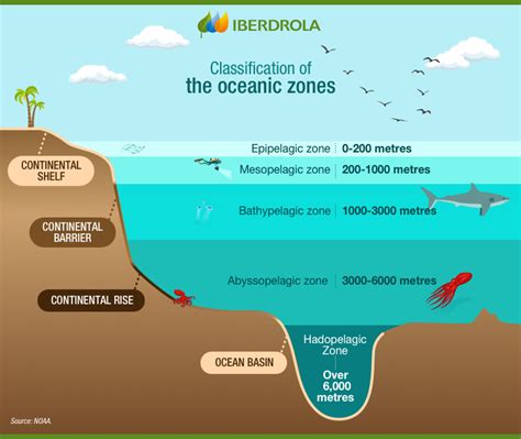 Abyssal Creatures Iberdrola Abyssal Creatures Iberdrola