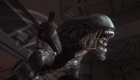 5 Alien Isolation Tips