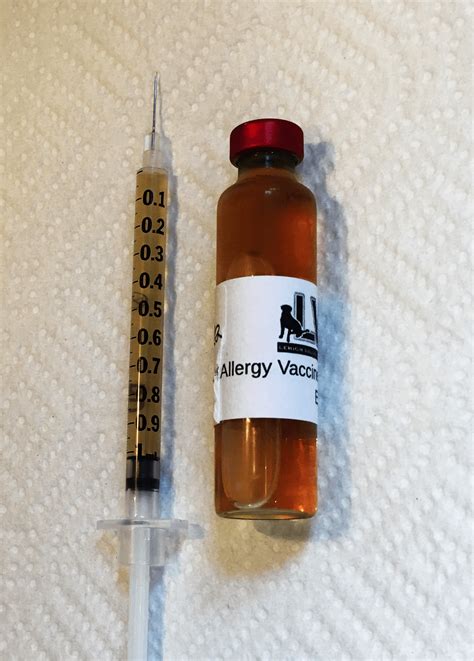 Allergy Shots For Dogs