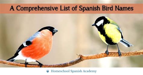 Bird In Spanish Bird In Spanish
