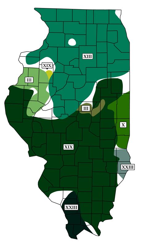 Cicada Map 2024 Illinois
