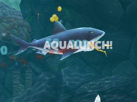 Diet Hungry Shark Wiki Fandom Diet Hungry Shark Wiki Fandom