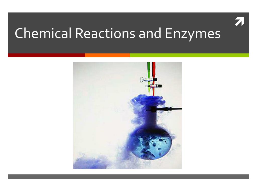 Energy Chemical Reactions And Enzymes Ppt Download Energy Chemical Reactions And Enzymes Ppt Download