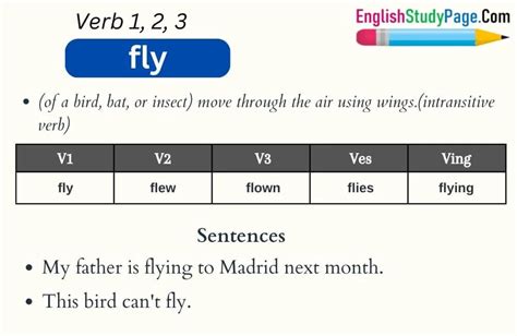 Fly Verb 3, Past And Past Participle Form Tense Of Fly V1, 59% Off Fly Verb 3, Past And Past Participle Form Tense Of Fly V1, 59% Off