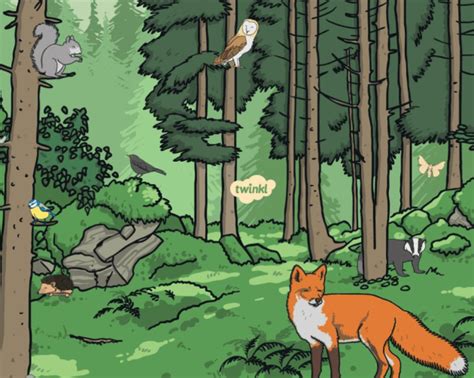 Forest Habitat For Kids Forest Habitat For Kids