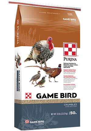 5 Game Bird Foods 5 Game Bird Foods