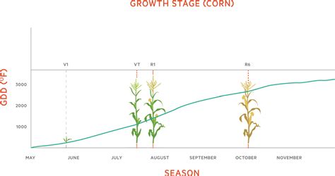 Growing Degree Days