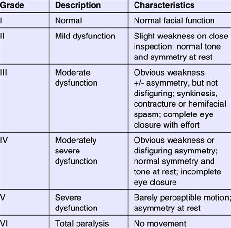 House Brackmann Scale