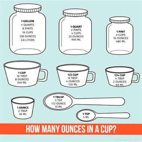 How Many Ounces In Cup How Many Ounces In Cup