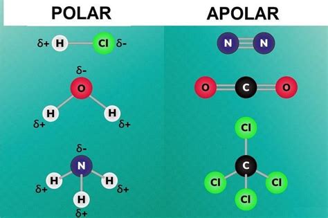 Is Linear Cs2 Polar Or Nonpolar Design Talk Is Linear Cs2 Polar Or Nonpolar Design Talk