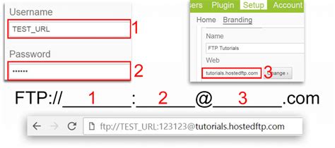 Logging In By Ftp Url With Username And Password Hosted Ftp Help Logging In By Ftp Url With Username And Password Hosted Ftp Help