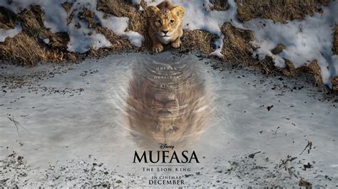 Mufasa The Lion King Reviews What Critics And Fans Are Saying 9Meters Mufasa The Lion King Reviews What Critics And Fans Are Saying 9Meters