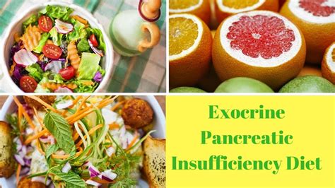 Pancreatic Insufficiency Diet