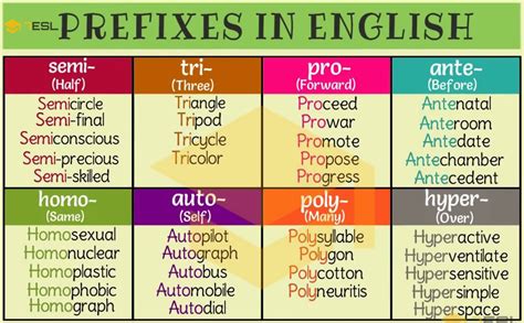 Para Meaning Prefix