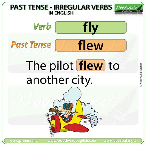 Past Tense Of Fly Verb Past Tense Of Fly Verb