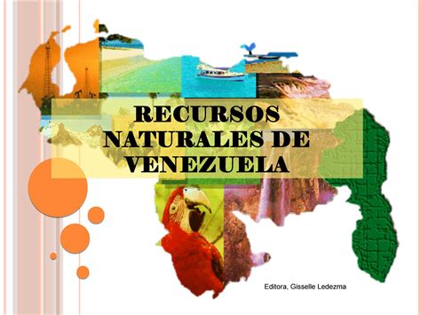Recursos Naturales Bajo Soberanía Venezolana: Articulo 11