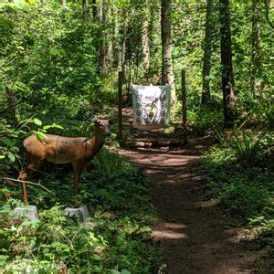 Renton Fish and Game Club Updates