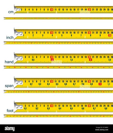 Tape Measure In Cm Cm And Inch Cm And Hand Cm And Span Cm And Foot Tape Measure In Cm Cm And Inch Cm And Hand Cm And Span Cm And Foot