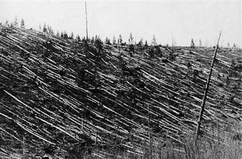 Tunguska Event Explained