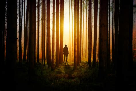 Wallpaper Nature Men Outdoors Forest Dark Landscape Explorer Wallpaper Nature Men Outdoors Forest Dark Landscape Explorer