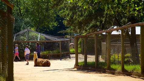 West Coast Game Park Safari Adventure West Coast Game Park Safari Adventure
