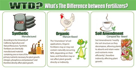 What Are Synthetic Fertilizers Organic Fertilizers Soil Amendments What Are Synthetic Fertilizers Organic Fertilizers Soil Amendments