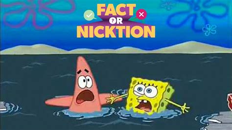 Why Do Fish Drown Despite Being Underwater R Spongebob Why Do Fish Drown Despite Being Underwater R Spongebob