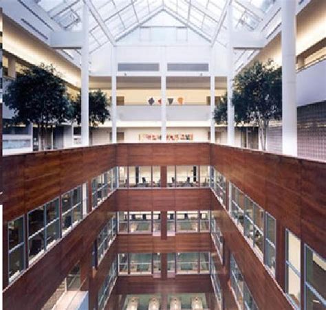 William And Anita Newman Library